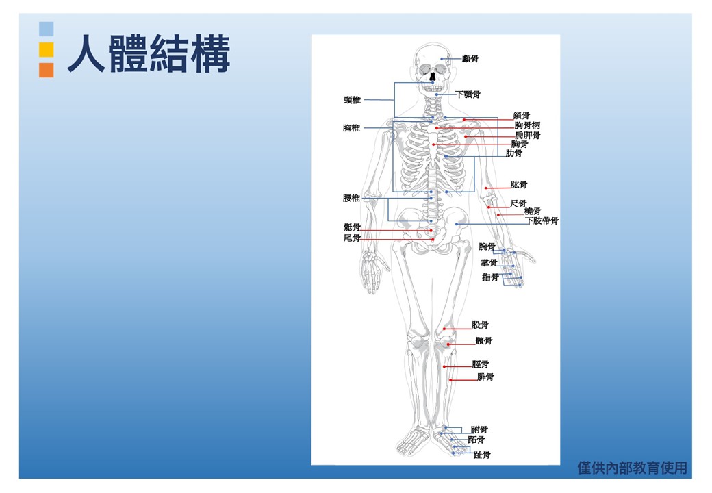 投影片5.JPG