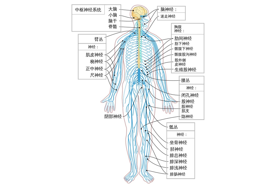 投影片7.JPG