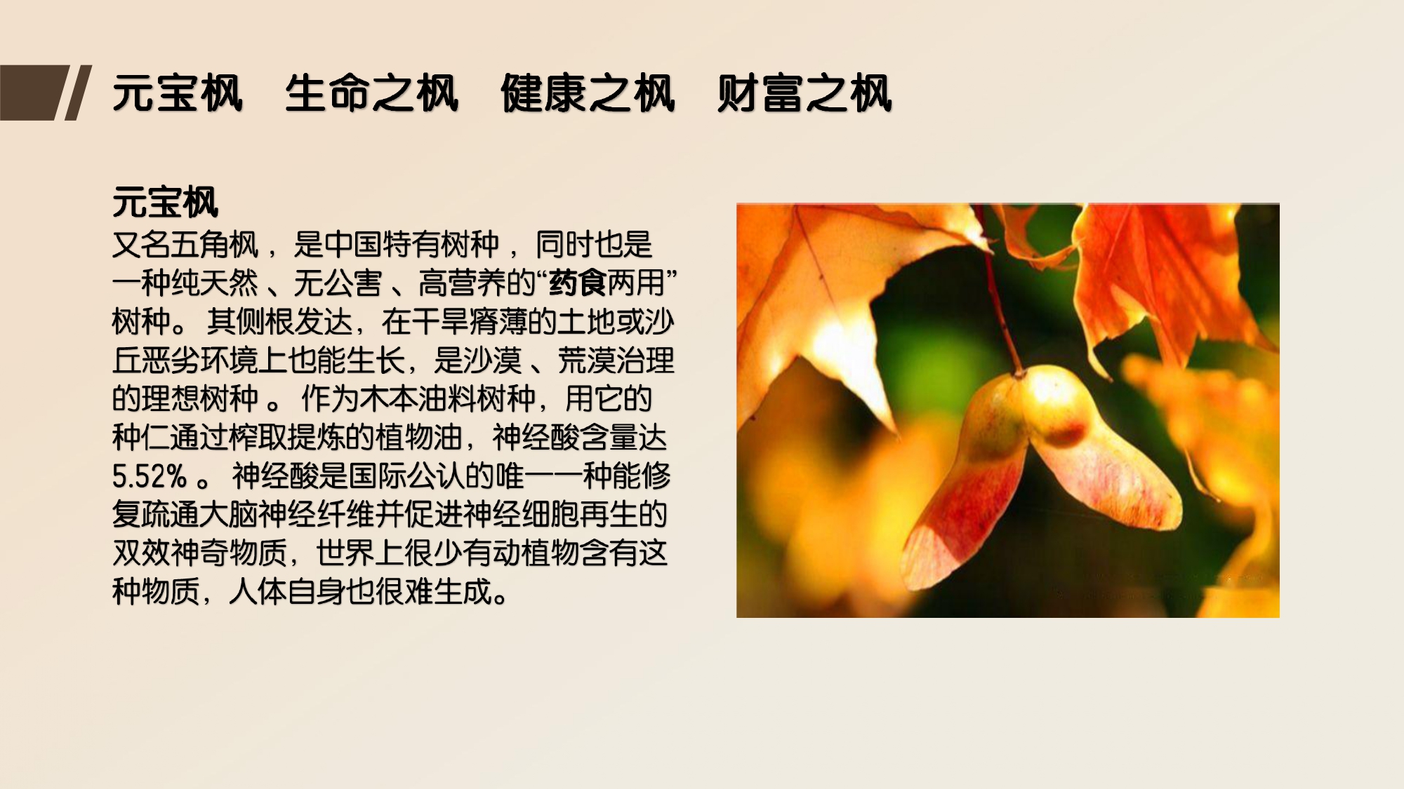 EOS共享经济共創健康.2025.06.25 _page-0012.jpg