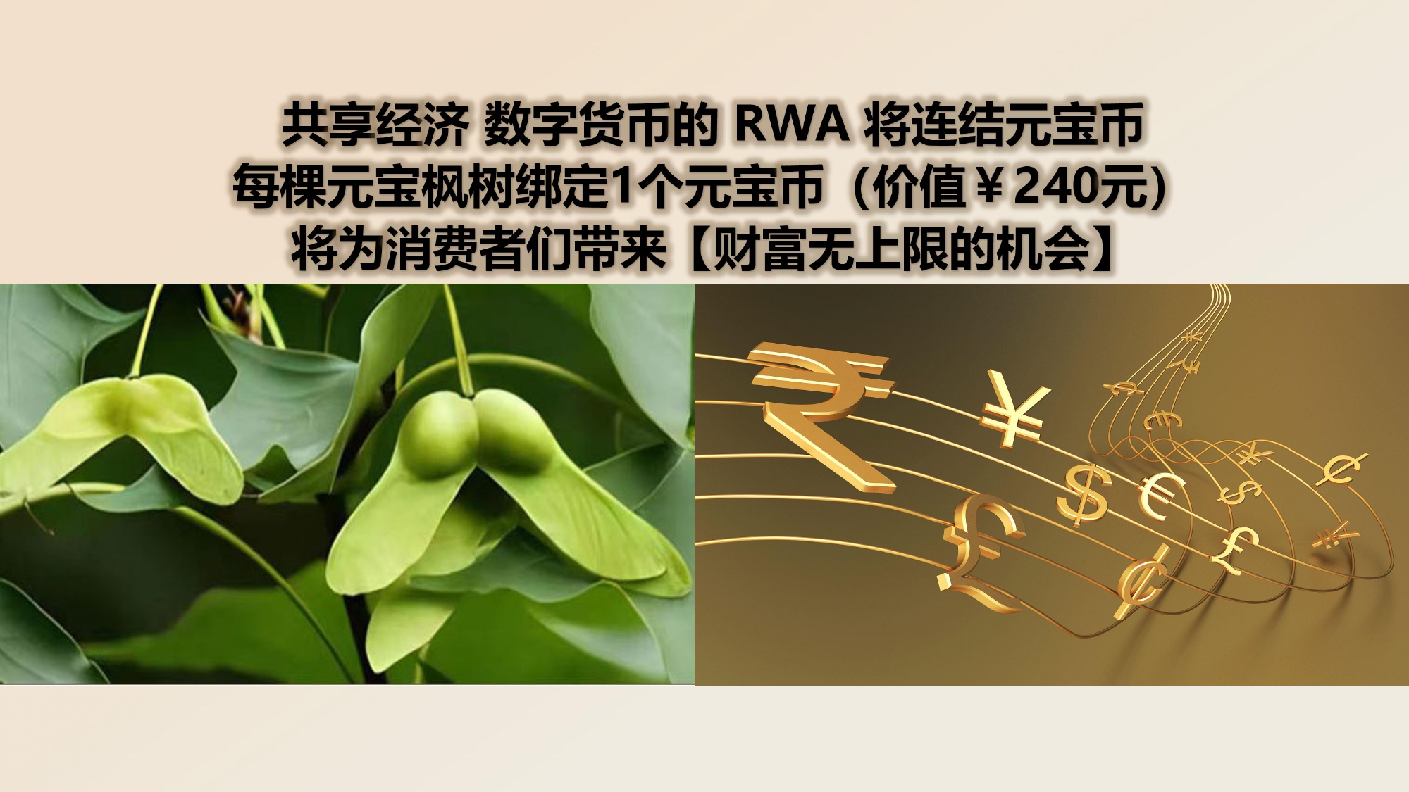 EOS共享经济共創健康.2025.06.25 _page-0020.jpg