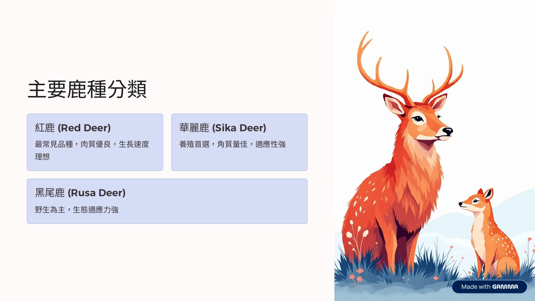 2.0_page-0003.jpg