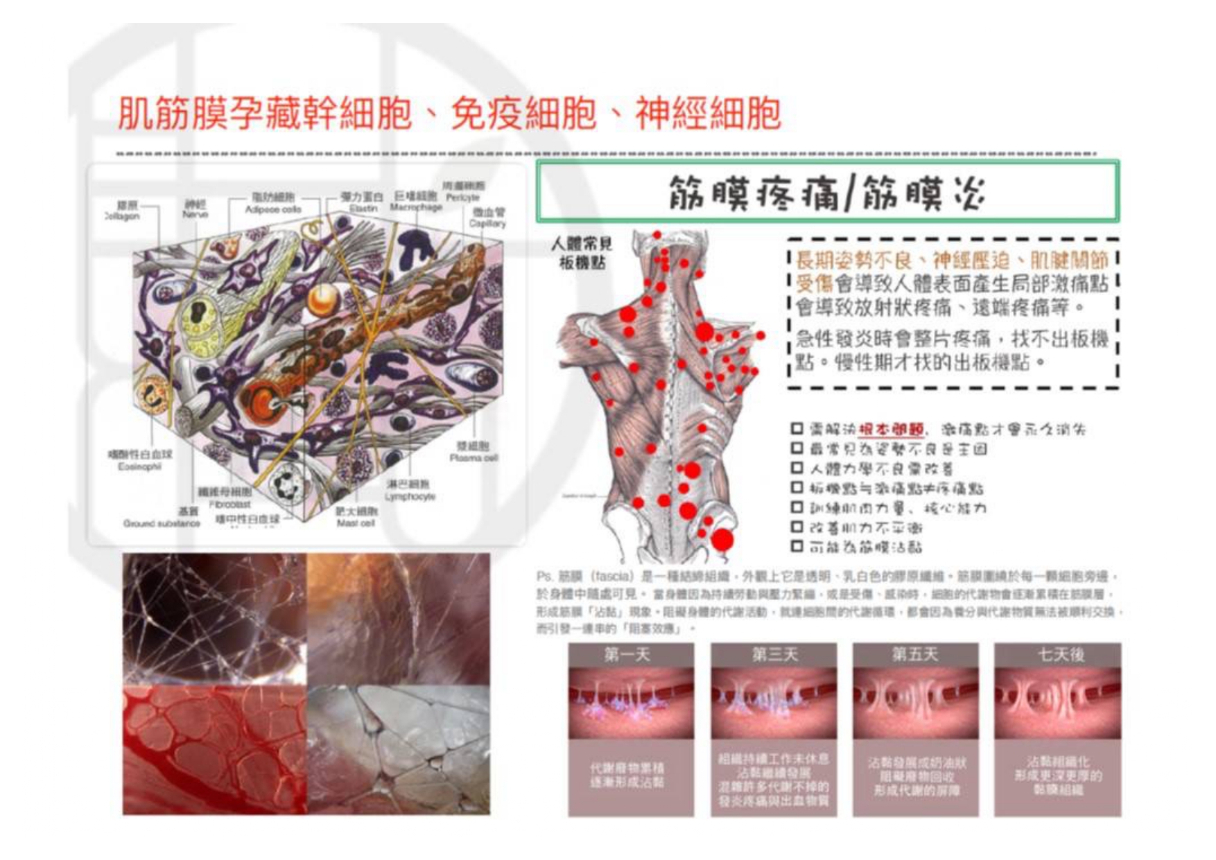 1765328876742572.jpg 周知漢學學院_page-0006.jpg