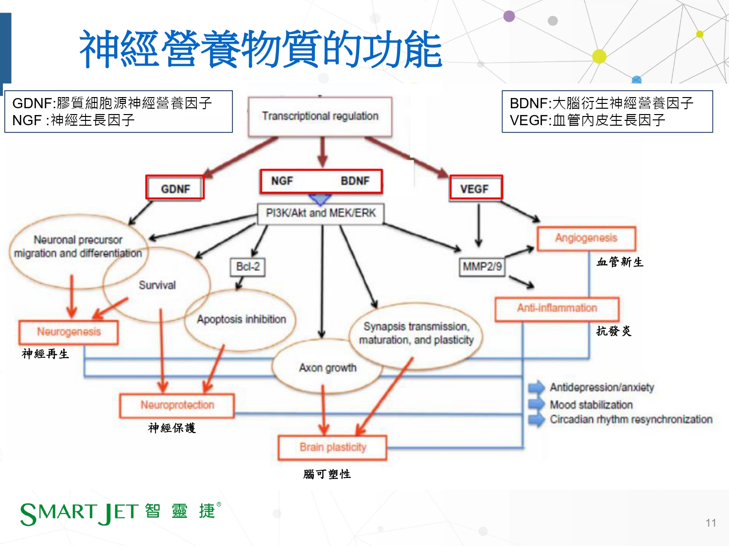 智靈捷4產品介紹-20260929綜合_page-0012.jpg