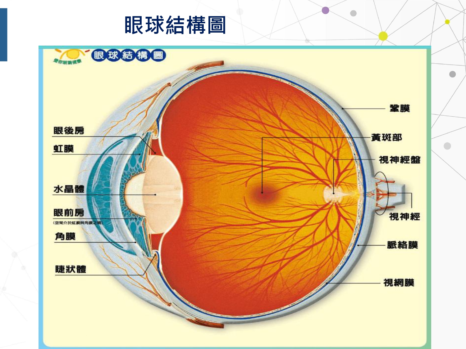 智靈捷4產品介紹-20260929綜合_page-0027.jpg