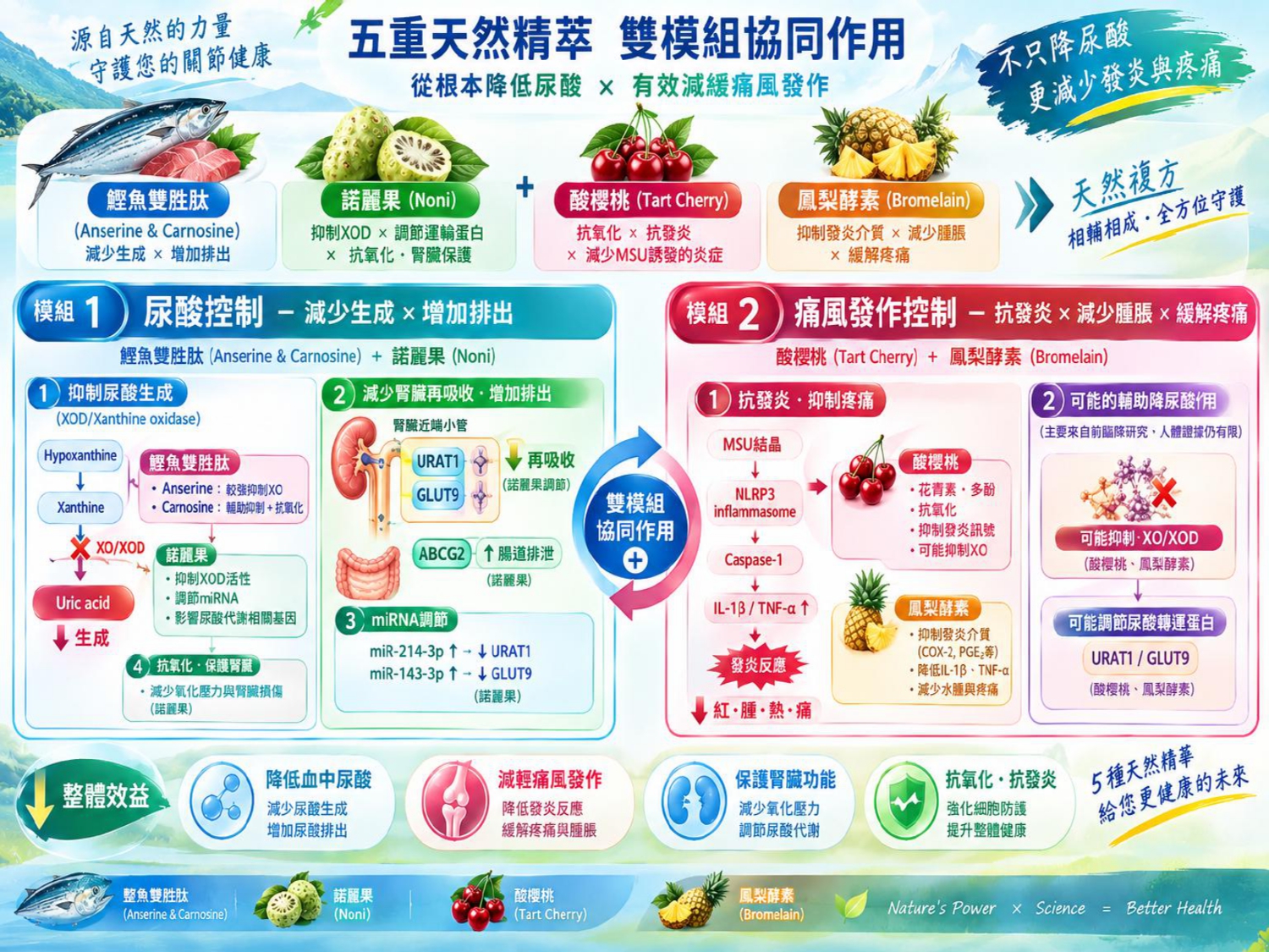智靈捷4產品介紹-20260929綜合_page-0048.jpg